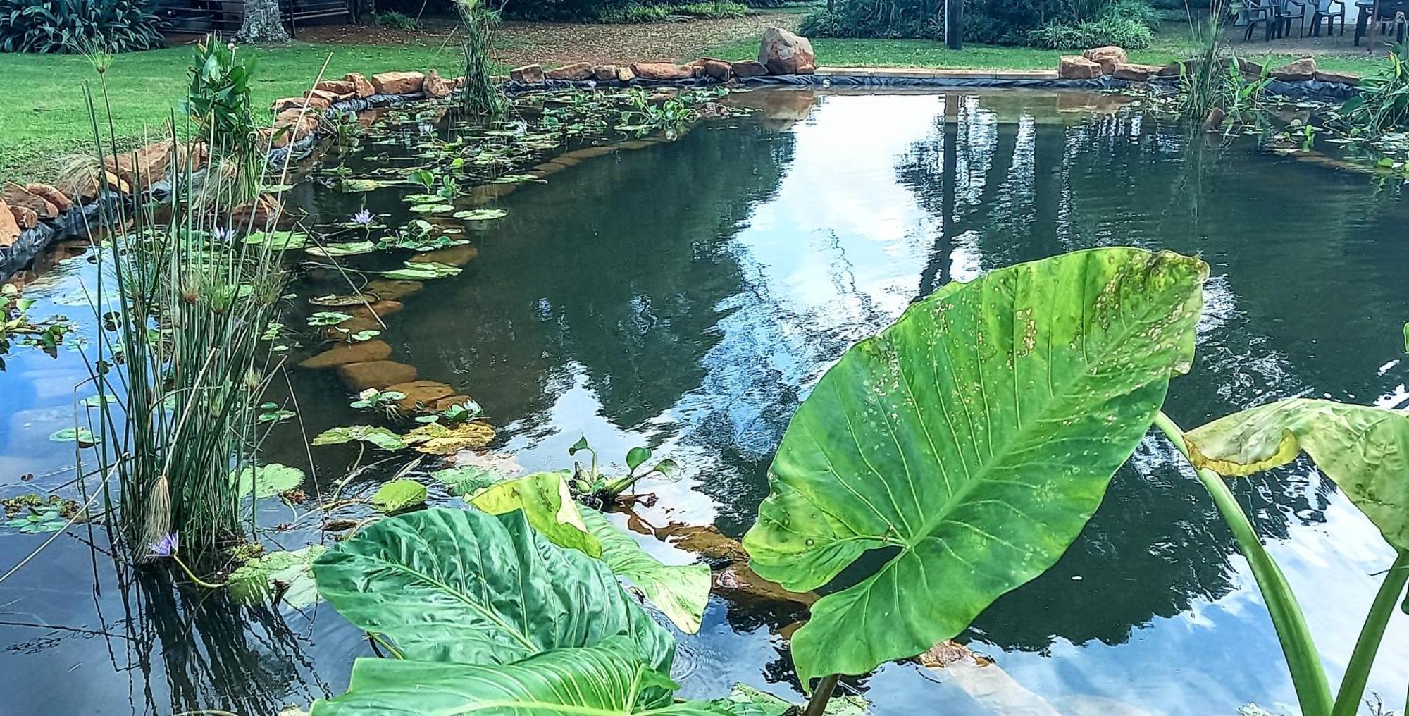 Deo Resta Guest Lodge Piet Retief Exteriér fotografie